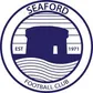 Seafordrock United crest