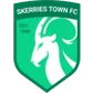 Skerries Town Football Club crest