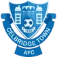 Celbridge Town Association Football Club crest