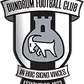 Dundrum FC crest