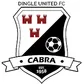 Dingle United FC crest